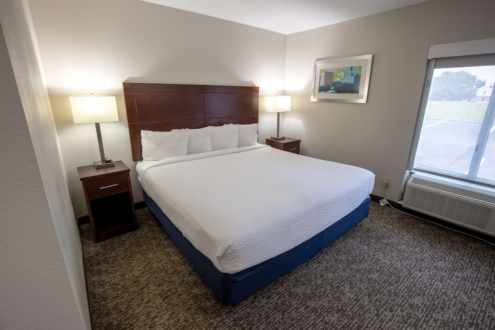 Standard Room, 1 King Bed, Accessible, Non Smoking - Photo 5