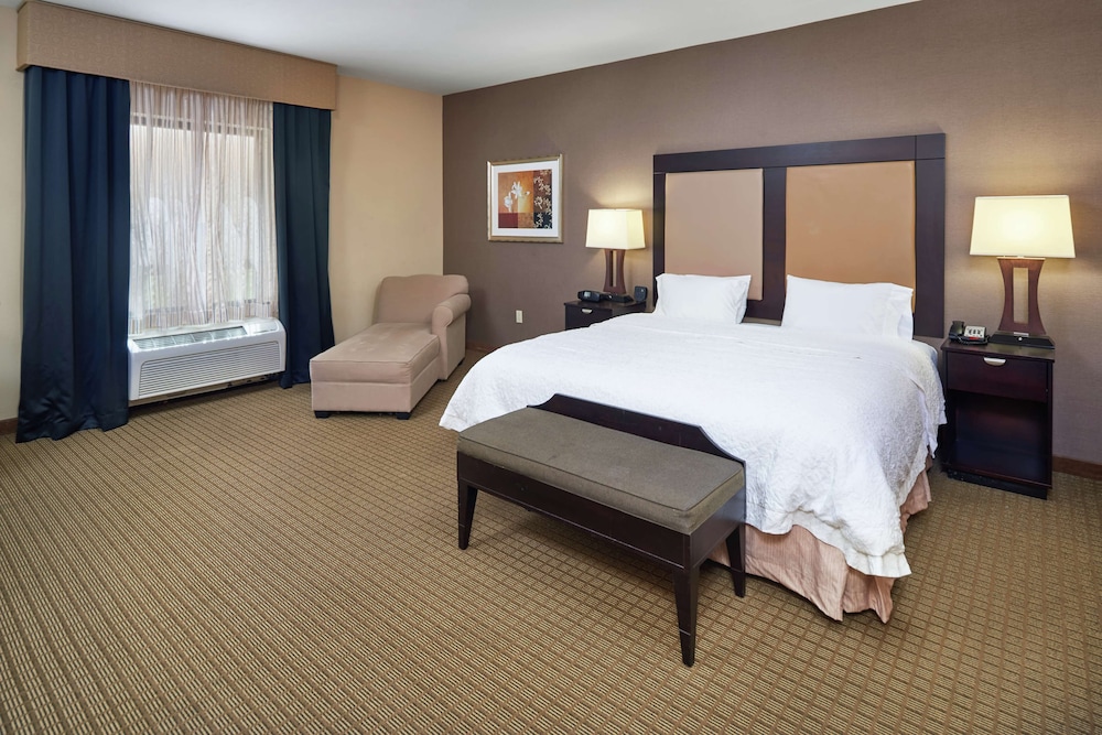 Room, 1 King Bed, Accessible - Photo 1