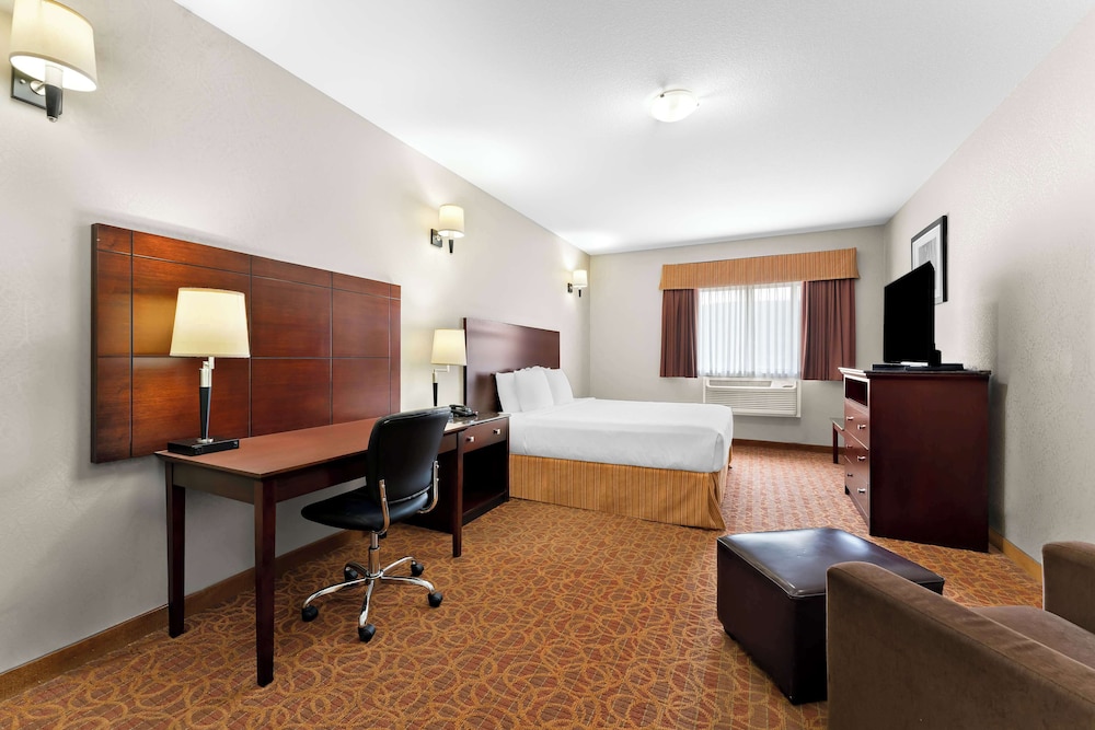 Standard Room, 1 King Bed, Non Smoking, Refrigerator & Microwave (with Sofabed) photo 1