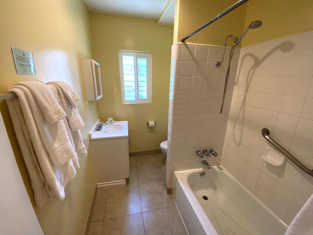 Executive Room, 1 King Bed