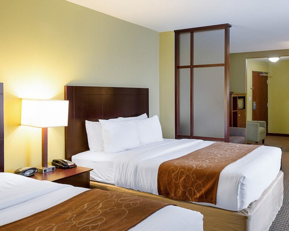 Studio Suite, Multiple Beds, Accessible, Non Smoking photo 1