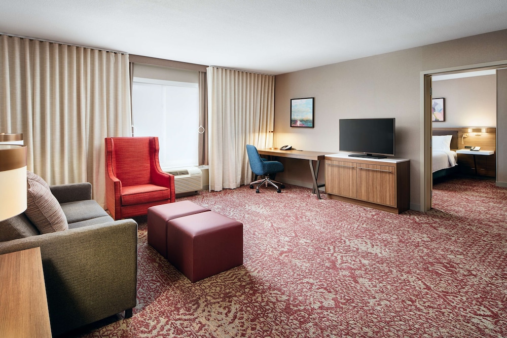 Suite, 1 King Bed, Accessible (Roll-In Shower) - Photo 4