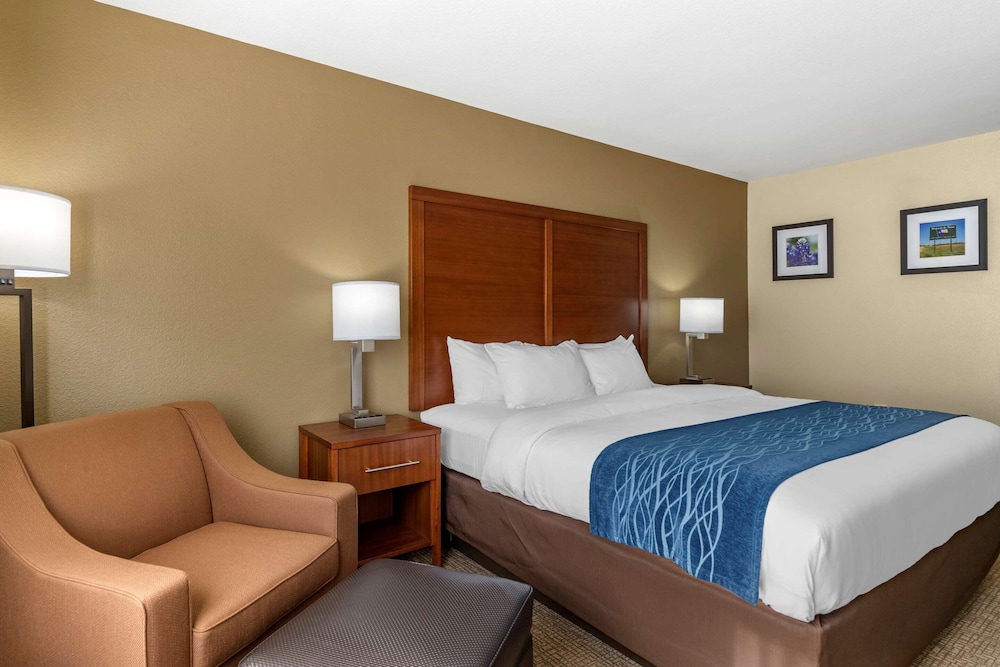 Room, 1 King Bed, Non Smoking (Efficiency, Pet Friendly) - Photo 1