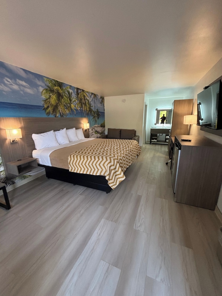 Room, 1 King Bed with Sofa bed, Non Smoking photo 1