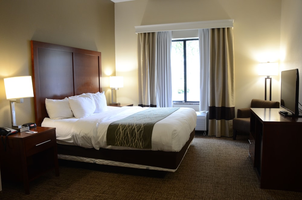 Suite, 1 King Bed with Sofa bed, Non Smoking - Photo 1