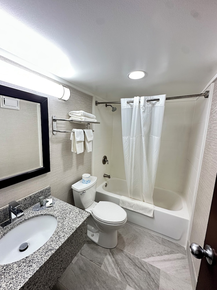 Suite, 1 King Bed and sofa bed, Non Smoking photo 2