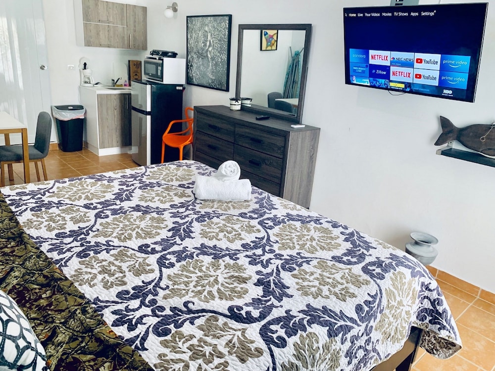 Dv 105 Junior Suite / Kitchenette / 1 King Size Bed, Oceanfront Property