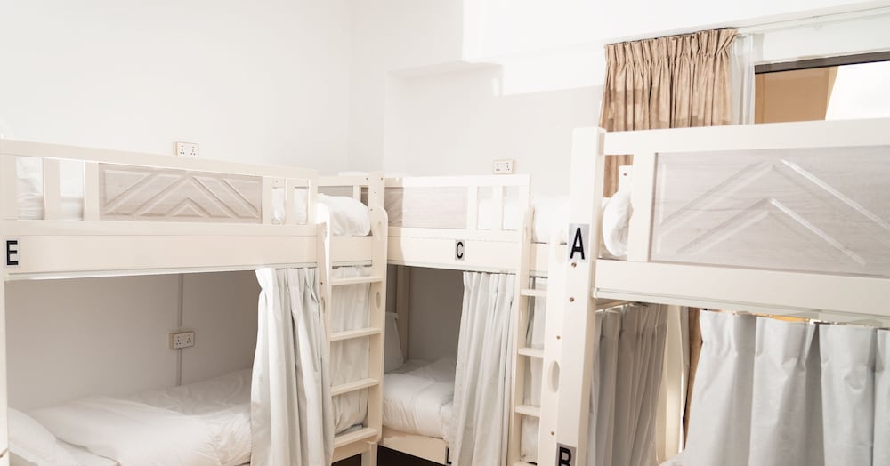 Bunk Bed in 6-bed Mixed Dorm Room - R1 photo 2