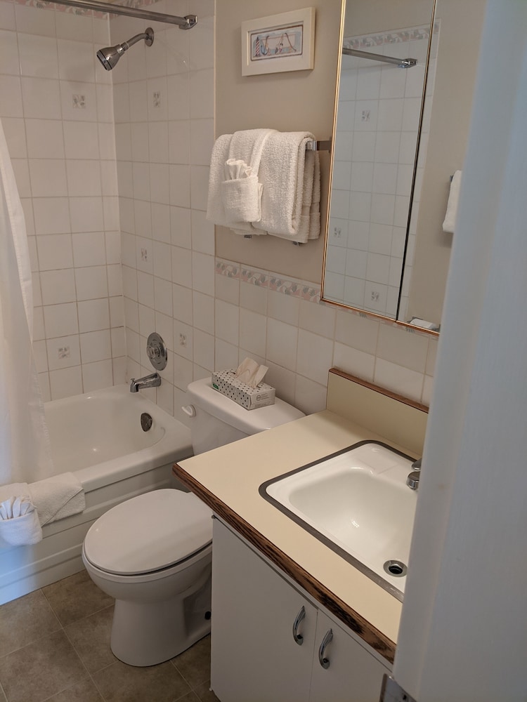 Standard Studio Suite, Multiple Beds, Non Smoking, Lake View