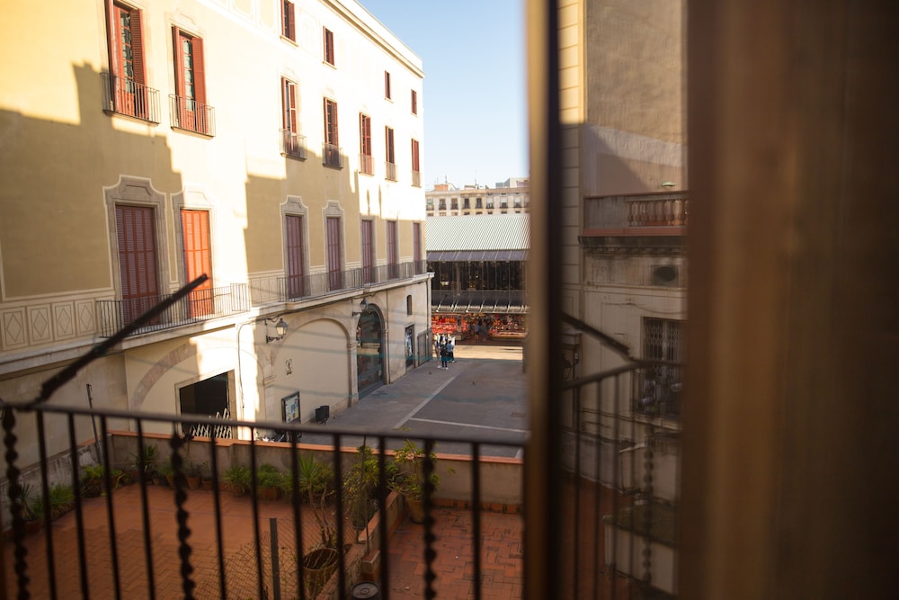 Premium Groups Apartment photo 3