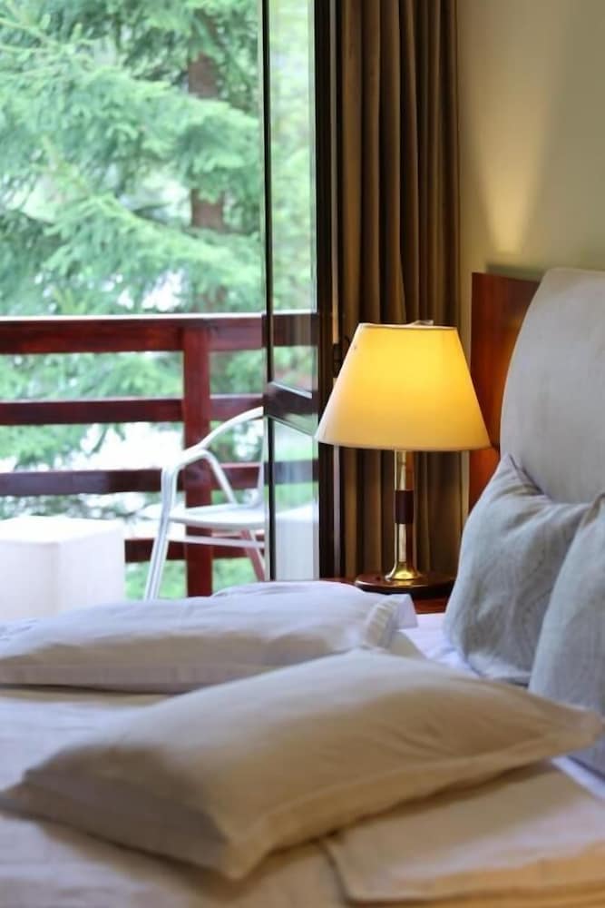 Standard Double Room, Mountain View