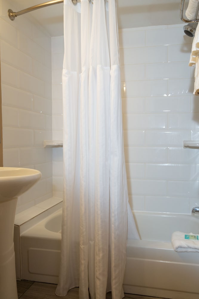 Suite with Four Queen Beds photo 2