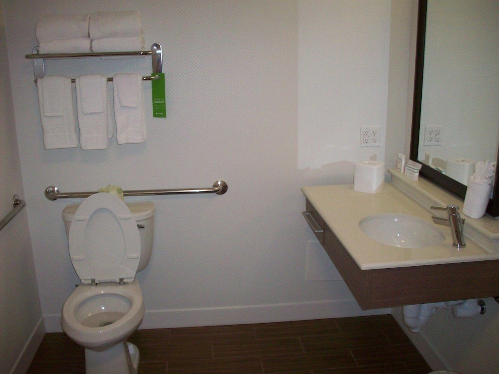 Room, 1 King Bed, Accessible (Mobility/Hearing, Roll-in Shower) - Photo 6