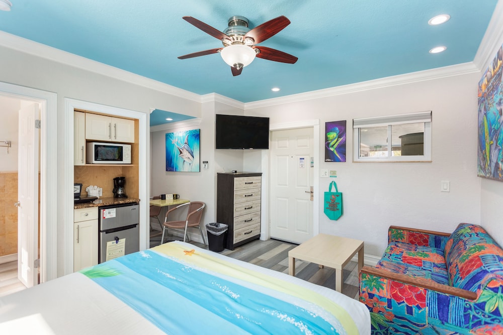 Standard Room: 1 Queen Bed and 1 Sleeper Sofa