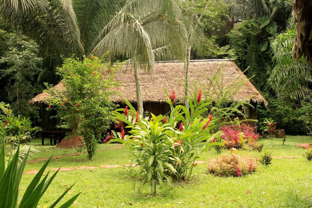 Basic Bungalow photo 2
