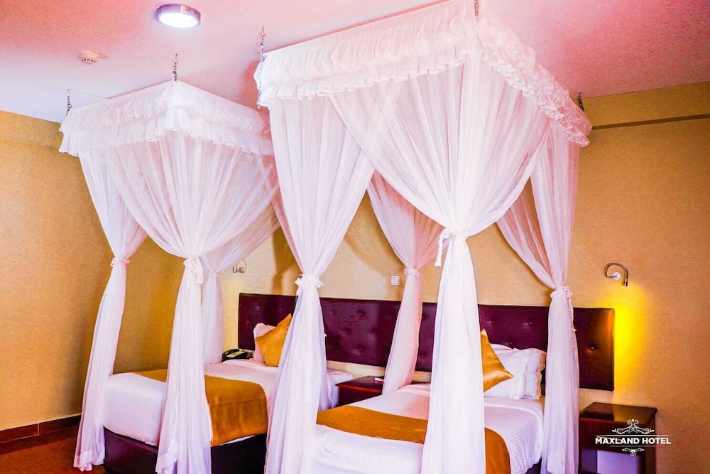 Twin Room photo 1
