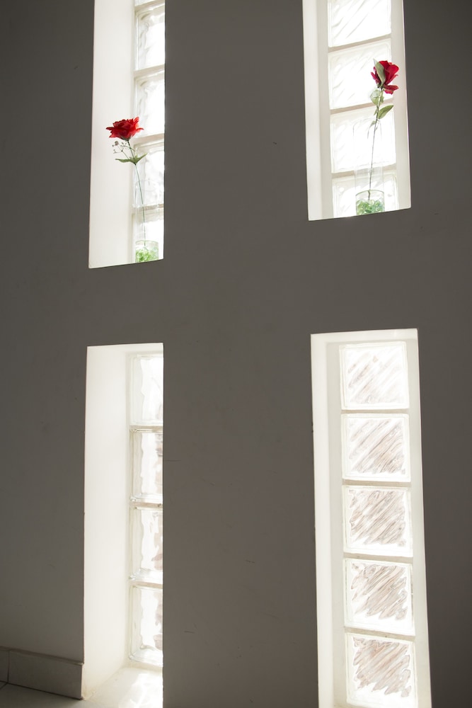 Twin Room photo 1