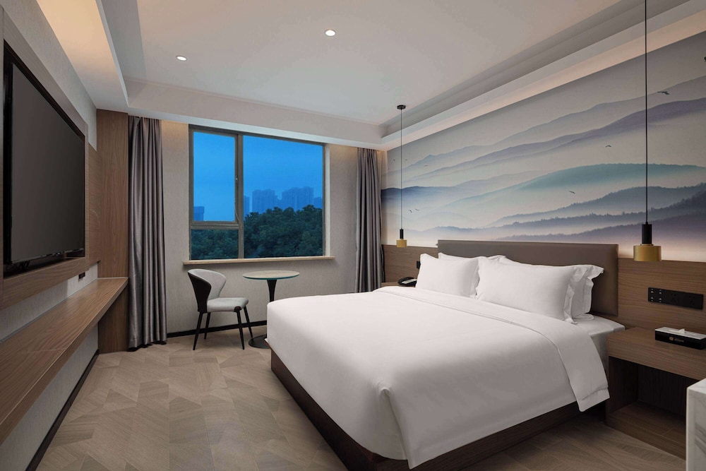 Deluxe Room, 1 King Bed, Non Smoking photo 1