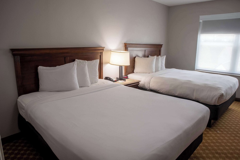 Suite, 1 Bedroom, Non Smoking