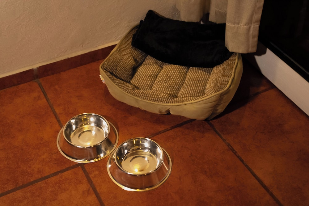 Room (Dog Friendly) - Photo 1