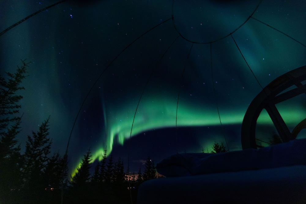 Standard Tent - Photo 8
