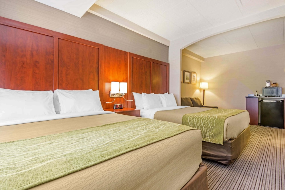 Suite (2 Queen Beds, Sofa Bed) photo 1