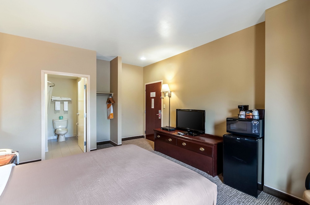 Room, 1 Queen Bed, Smoking photo 1