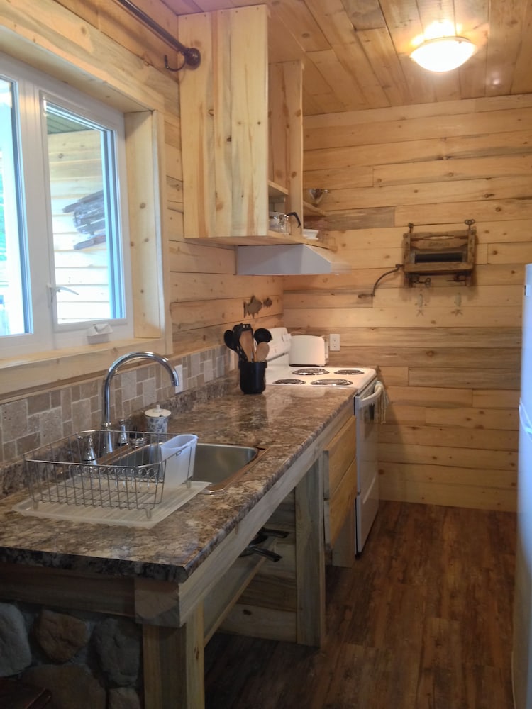 Executive Cabin, 1 King Bed, Kitchen, Mountain View (No pets) photo 3