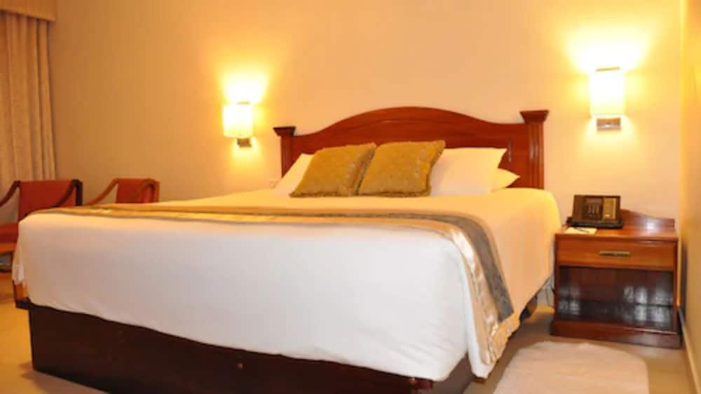 Business Single Room, 1 King Bed photo 3