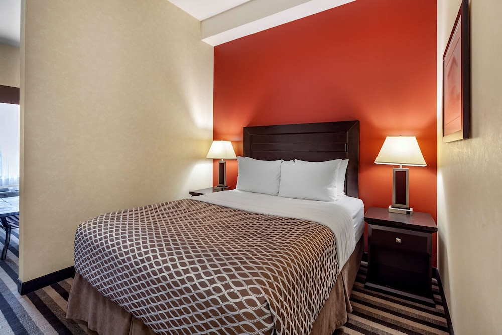 Standard Room, 1 King Bed, Non Smoking, Refrigerator & Microwave - Photo 1