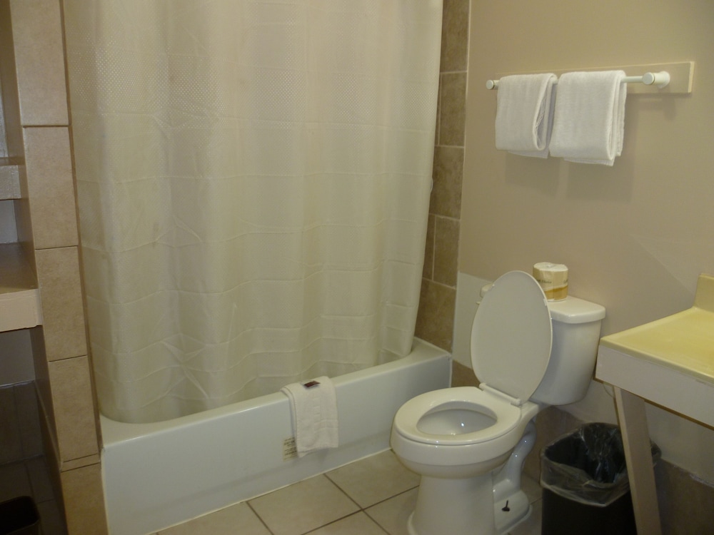 Single Room, 1 King Bed photo 1