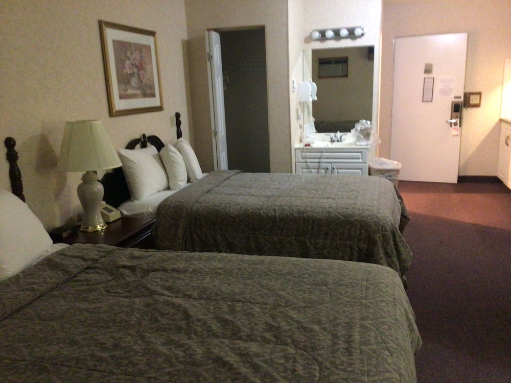 Basic Studio Suite