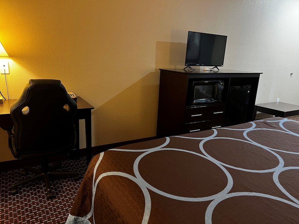 Studio Suite, Multiple Beds, Non Smoking - Photo 6