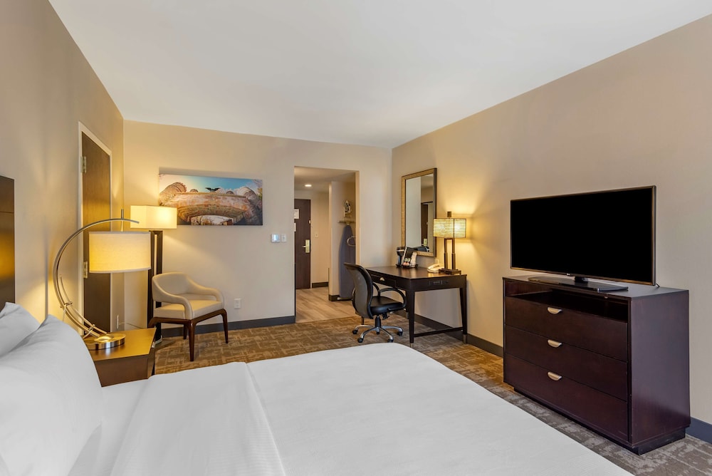 Standard Room, 1 King Bed, Non Smoking, Refrigerator & Microwave photo 3