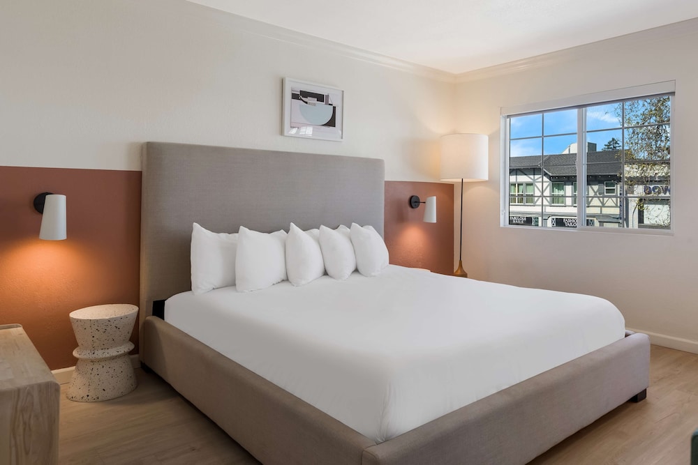 Room, 1 King Bed with Sofa bed, Non Smoking photo 2