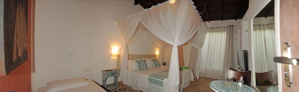 Suite Master Jacaranda photo 1