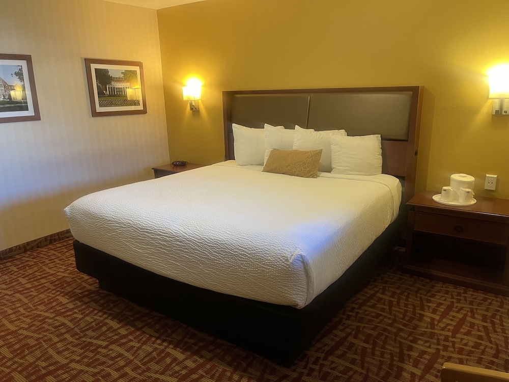 Basic Single Room photo 1