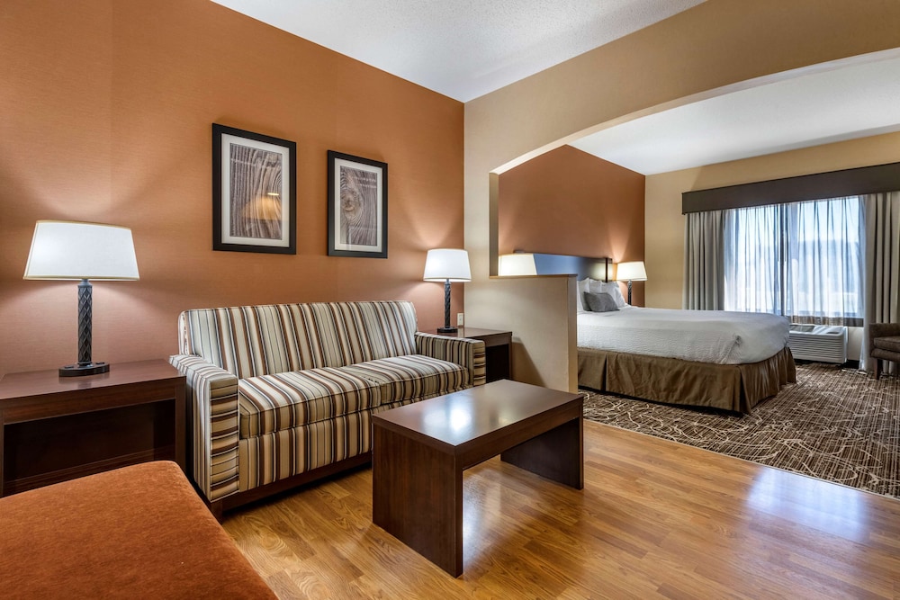 Suite, 1 King Bed, Non Smoking, Microwave (with Sofabed) photo 2