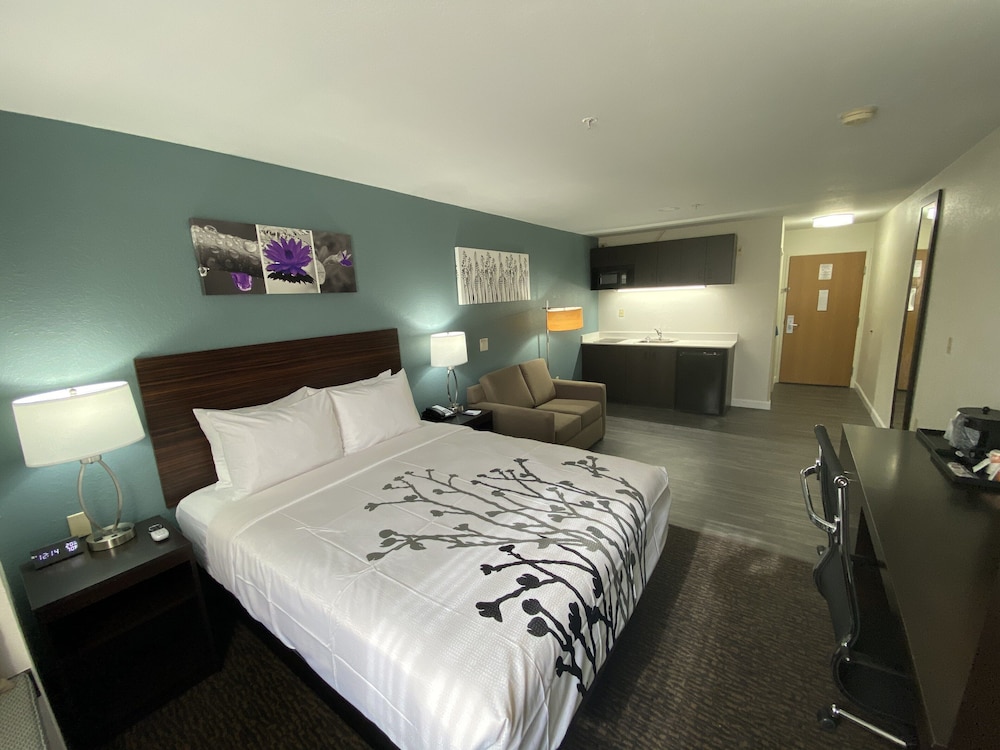 Suite, 1 Queen Bed with Sofa bed, Non Smoking (Efficiency) - Photo 9