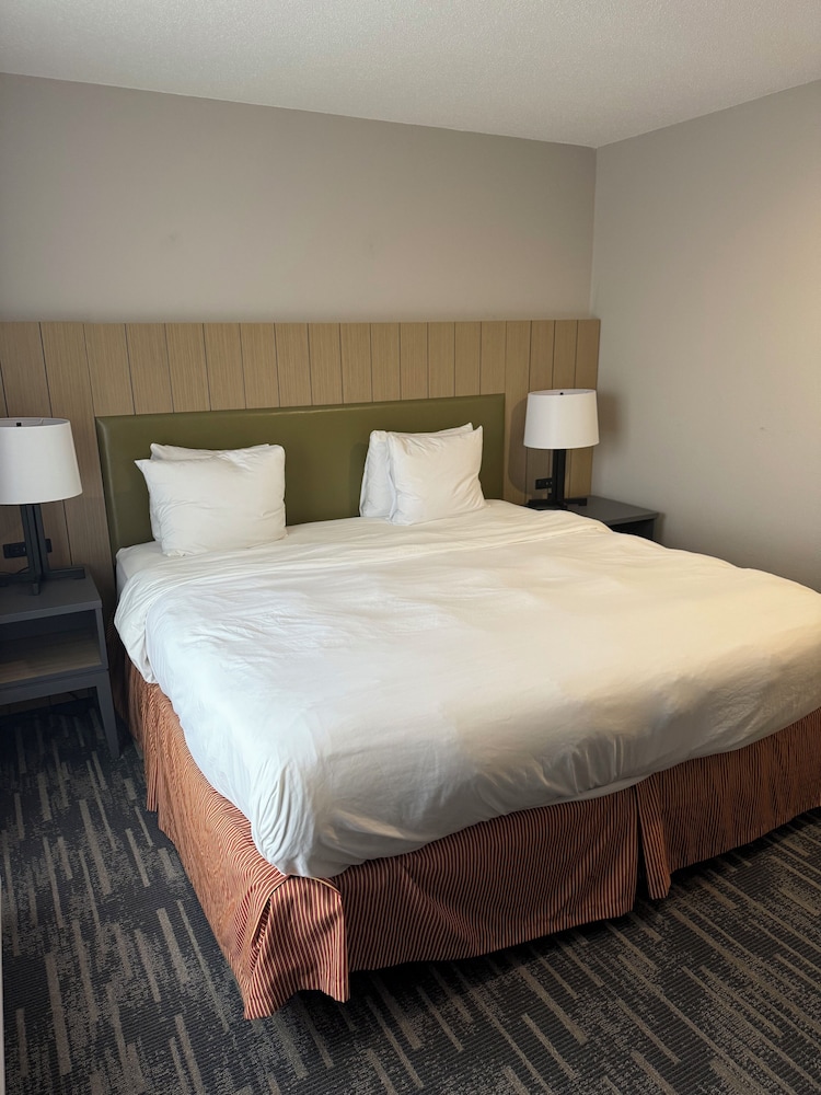 Suite, 1 King Bed, Non Smoking photo 2