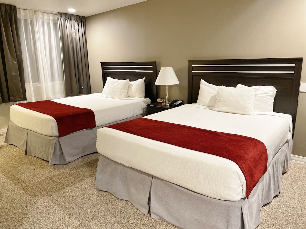 Executive Suite, 2 Queen Beds
