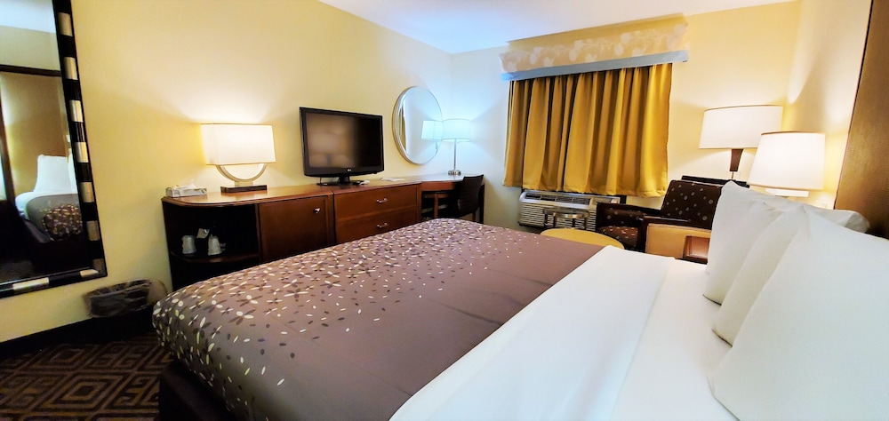 Room, 1 King Bed, Non Smoking photo 3