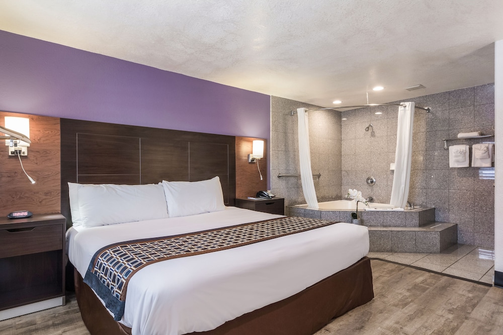 Suite, 1 King Bed, Non Smoking photo 1