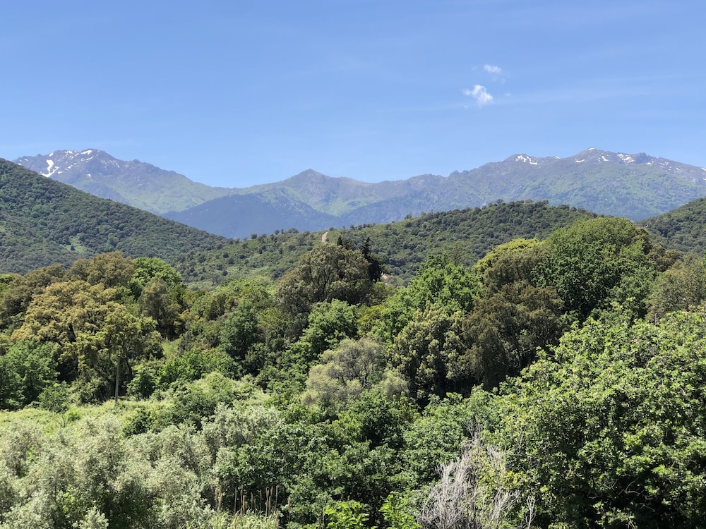 Double Room, Ensuite, Mountain View photo 2