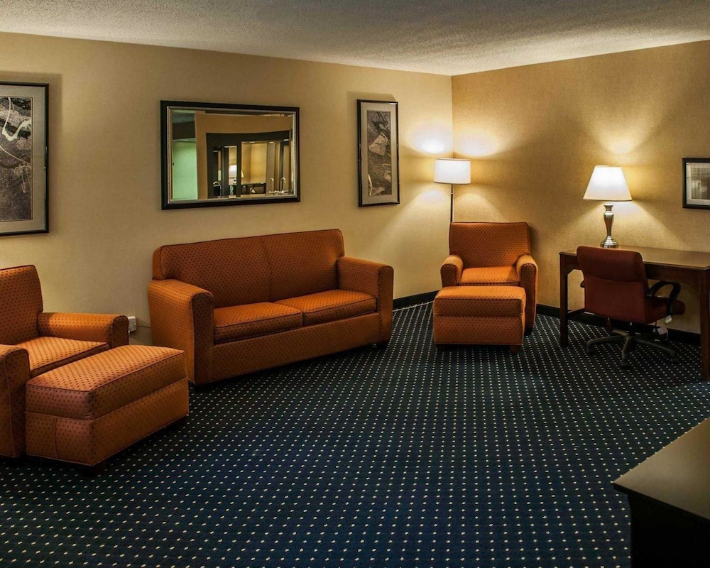 Standard Room, 1 King Bed with Sofa bed, Non Smoking - Photo 1