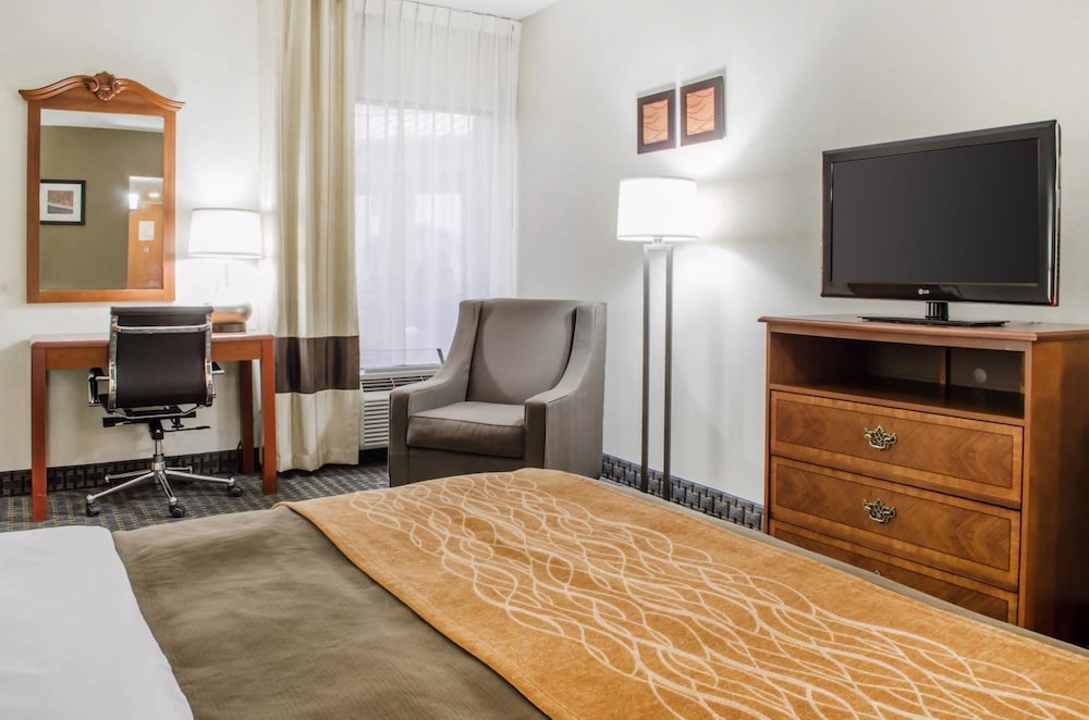 Standard Room, 1 King Bed with Sofa bed, Non Smoking - Photo 4