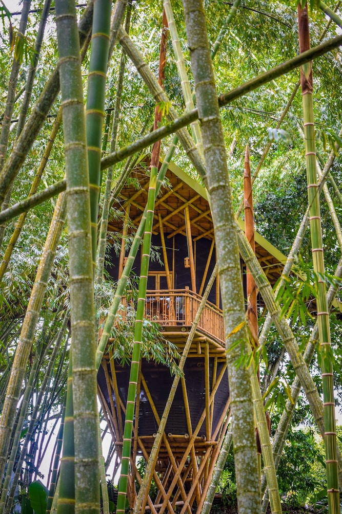 Deluxe Tree House photo 3