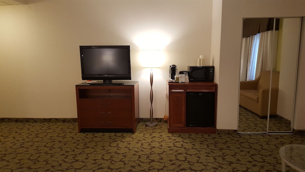 Room, 1 King Bed, Accessible photo 2
