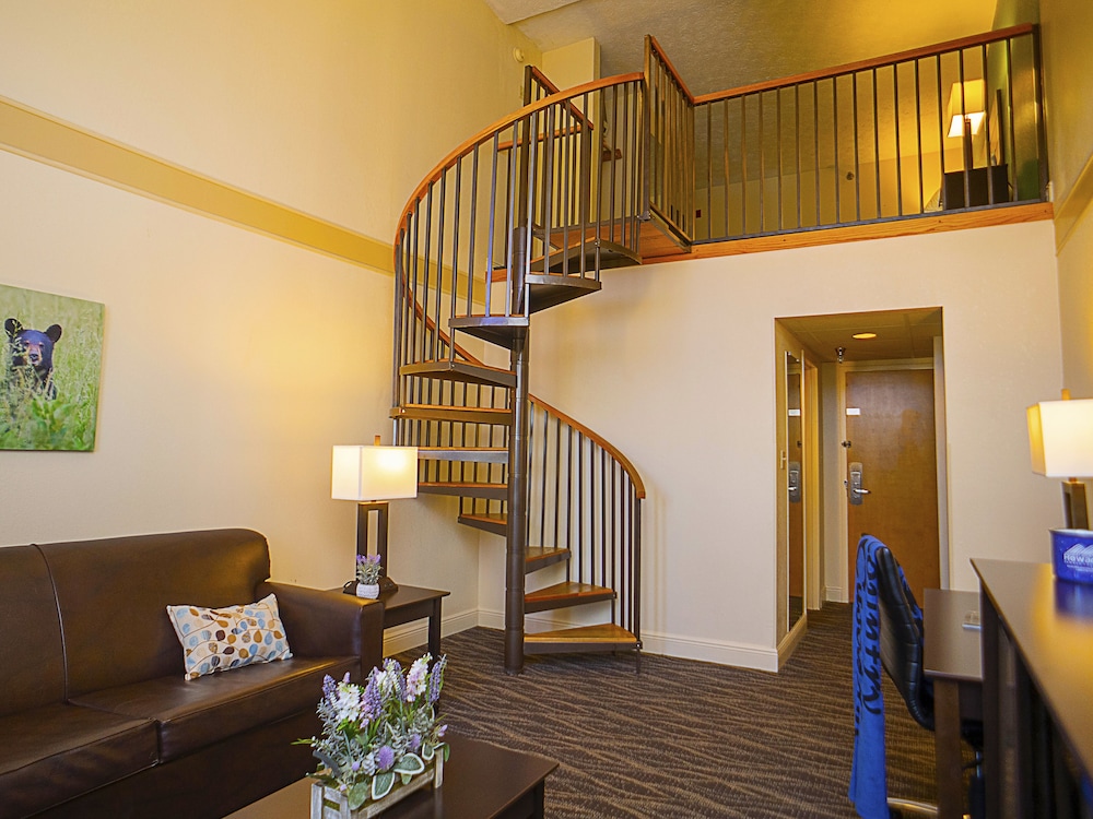 Family Penthouse photo 1