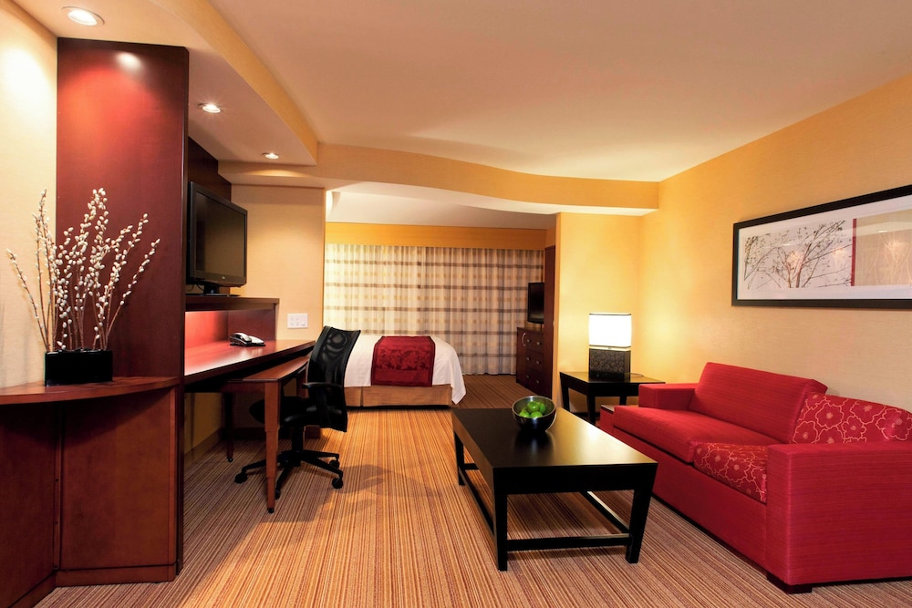 Suite, 1 King Bed with Sofa bed photo 2